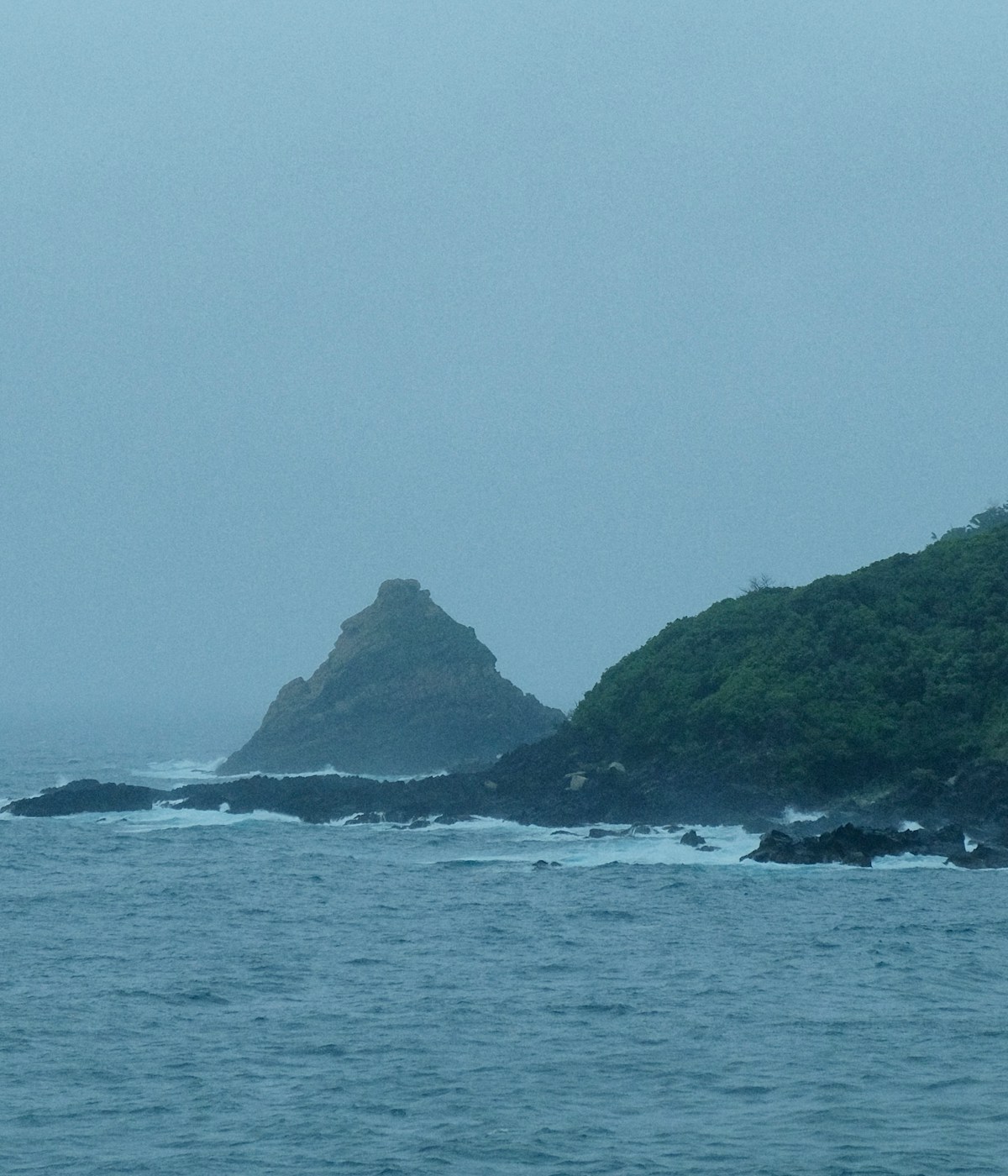 Image Description