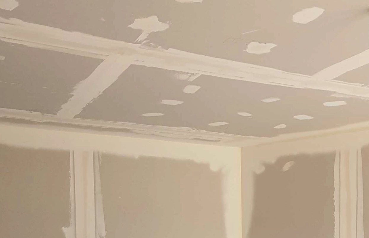 dot and dad roof