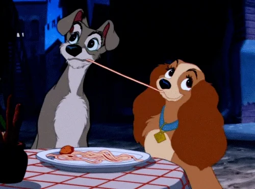 deux chiens qui s'embrasse avec un spaghetti